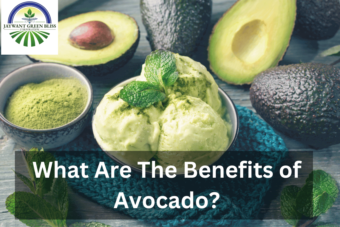 Benefits-of-Avocado | Avocado-Supplier-In-Pune