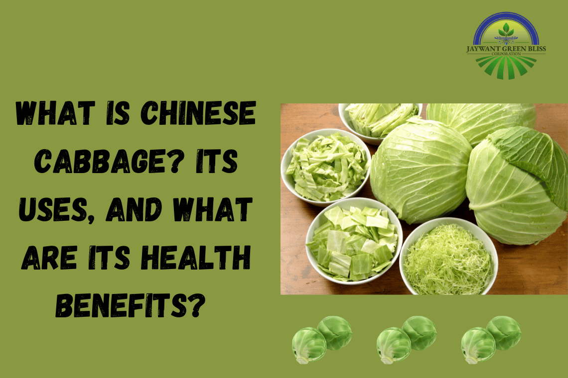 Supplier Of Leafy Vegetables 