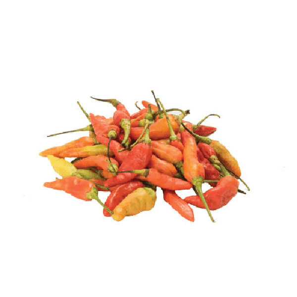 Fresh-Herbs-Supplier-In-India | Buy-Pepper-Tabasco-In-India
