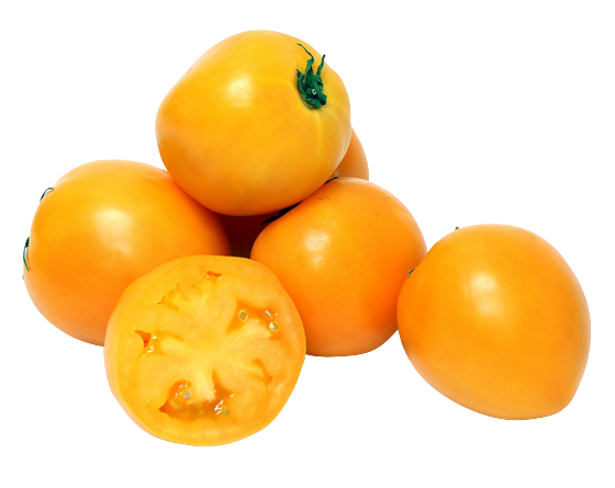 Yellow-Cherry-Tomatoes-Supplier-In-India